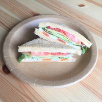 アースカラーペーパープレート ラウンド 23cm 1セット（8個入×4袋） サンナップ