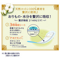 パンティライナー 無香料 少し多い用 羽なし15.5cm ソフィ Kiyora（キヨラ）贅沢吸収天然コットン 1個（44枚入）