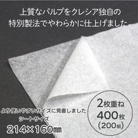 ティッシュペーパー 200組 クリネックスティシュー プレミアム ソフトパック 日本製紙クレシア  限定