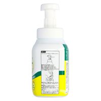 ロケット石鹸 Cプラス泡ボディソープ本体 4571113808273 1個(480ML)（直送品）