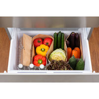 ネクスタ 【EFP】紙製ストッカーレモン柄10枚入 4903652003916 1個(10枚)（直送品）