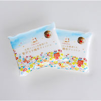 原田産業 天然コットンを使用したゼイ沢な不織布ティッシュ 携帯用 10枚X2P 4931839217627 1パック(2個入)（直送品）