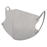 富士 レイヤースタイルマスク 個別包装 アッシュグレー 4944109316289 1個(30枚)（直送品）