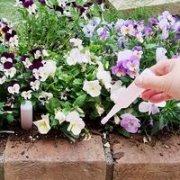 小久保工業所 液体肥料（草花・鉢花用）35ml×10本入 4971902926179 1個（直送品）