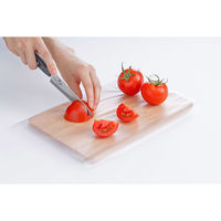 岩谷マテリアル なんでもシートミニ 4980356201107 1個(70枚)（直送品）