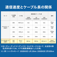 サンワサプライ  メガネ2芯光ファイバケーブルのみ100m（シングルモードOS2） HKB-M2OS2-CB100（直送品）