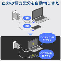 サンワサプライ  USB PD対応AC充電器（PD65W・C×3＋A×1） ACA-PD107BK（直送品）