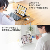 サンワサプライ  イヤフォンジャック付きType-Cハブ USB-5TCPA23W（直送品）