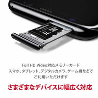 GIGASTONE microSDHCカード 32GB class10 10枚入り GJM10-32G10PK 1セット