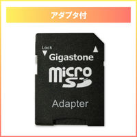GIGASTONE microSDXCカード U3 V30 256GB2 2枚入り GJMXR-OG256GV30-2PK 1セット