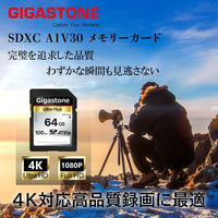 GIGASTONE SDXCカード UHSー1 U3 A1 V30 64GB 2枚入り GJSXR-64GV3A1-2PK 1セット