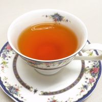 農薬を使わずに育てたダージリンブレンド紅茶ティーバッグ 1箱（20バッグ入）