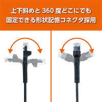 ナカバヤシ カテゴリー6A 固定できるLANケーブル ブラック 10m C6A-K100BK 1個