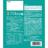 のど飴 ノンシュガー キャンディー お口すっきり 和種 ハッカのど飴 67g 1セット（1個×6） アサヒグループ食品