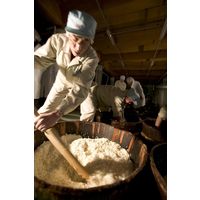 菊正宗 上撰 生もと純米 1.8L パック 1本 日本酒