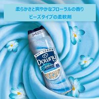 ダウニー（Downy） ブレンズ メドウレイン 235g 1個 柔軟剤ビーズ P＆G
