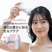 大東電機工業 スライヴ スリースタイルガン ホワイト BMー01(WH) 1台