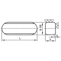 SUNCO 新JIS SUS 両丸キー 7X7X250 (50本入) D0-02-K000-0070-2500-00 1箱(50本)（直送品）
