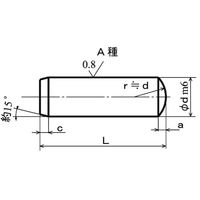 SUNCO SUS 平行ピン(A種 1.5 X 6 (1000本入) D0-02-010A-0015-0060-00 1箱(1000本)（直送品）