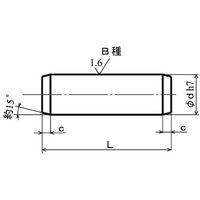 SUNCO SUS 平行ピン(B種 4 X 12 (1000本入) D0-02-010B-0040-0120-00 1箱(1000本)（直送品）