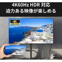 ラトックシステム RATOC USB TypeーC to HDMI 変換ケーブル(PD対応・1m) RS-UCHD4K60-1M 1個（直送品）