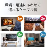 ラトックシステム RATOC USB TypeーC to HDMI 変換ケーブル(PD対応・2m) RS-UCHD4K60-2M 1個（直送品）