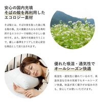 MORIPiLO そばがら 枕 日本製 硬め (寝返りしやすい そば殻 まくら 高め) 横向き寝 対応 洗える 枕カバー付き 綿 約38x57x9~10cm
