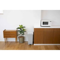 新輝合成 SWISH スウィッシュ 小窓付きスリムペダル ホワイトグレー 45L ゴミ箱 1個