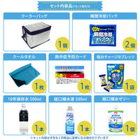 熱中症対策キット 9点 シルバー 1セット 熱中症対策用品 暑さ対策 クーラーバッグ コンパクト 瞬間冷却剤 ゼリー ドリンク（直送品）