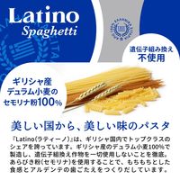 ラティーノ フィシリ 袋 250g ゆで時間8分 1個 富永貿易 パスタ ギリシャ