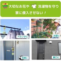 さよならカメちゃん　掛けタイプ 1個 グローバルジャパン