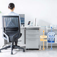 サンワサプライ キャビネット 幅390×奥行534×高さ600mm グレー SNW-106GY 1台（直送品）