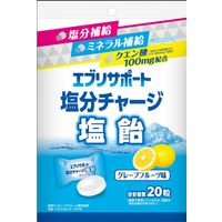 塩分補給 塩分対策 個包装 エブリサポート 塩分チャージ塩飴 20粒入 80g  1セット(1個×12) 日本薬剤