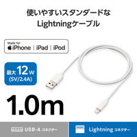 エレコム iPhone充電 ライトニングケーブル 1m 最大12W 白 MPA-UALEC10WH 1個（わけあり品）