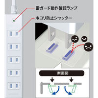 延長コード 電源タップ 2m 2P（ピン） 6個口 マグネット ホワイト TAP-SP2116MG-2WN サンワサプライ 1個（わけあり品）
