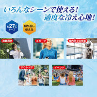 【熱中症対策】 マルエヌ スマートエコアイス Lサイズ ネッククーラー PCM素材 暑さ対策 冷感 NS-ECO28LB 1個（わけあり品）