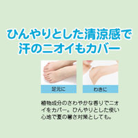 お肌用フィトンαデオクール 100ｍL 1本 タジマヤ