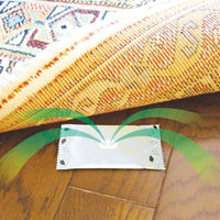 ダニコナイ 1箱（3個入） タジマヤ