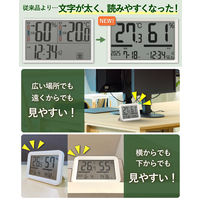 温湿度計 タニタ 大型デジタル温湿度計 大きい 日時時計表示  TTーA01 1個