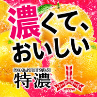 アサヒ飲料 三ツ矢特濃ピンクグレープフルーツスカッシュ 500ml 1箱（24本入）