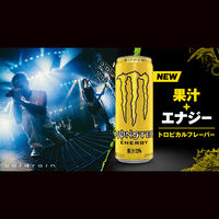 アサヒ飲料 モンスター リッパー缶 355ml 1箱（24缶入）