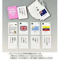 学研ステイフル 世界の国旗かるた1 J750768 1個