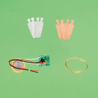 学研ステイフル 自由研究おたすけキット　レモン電池 J750859 1個