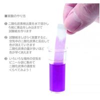 学研ステイフル 自由研究おたすけキット　二酸化炭素 Q750862 1個