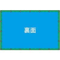 岡潮 リバーシブルシート緑×青#3000:3.6m × 5.4m 502 1枚 580-3903（直送品）
