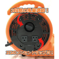 大一産業 マイマイブロワー38 4573155420130 1台