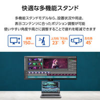 iiyama 34インチウルトラワイドモニター 上下昇降機能  XUB3493WQSU-B6 1台