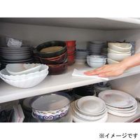 フィトンα クリーナーシート 25枚入 1セット（2個） タジマヤ