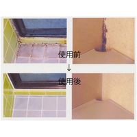 がんこ一番カビ取り剤 120g 1本 東企