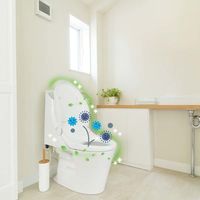 フィトンα トイレクリーナー300ｍL 1本 タジマヤ